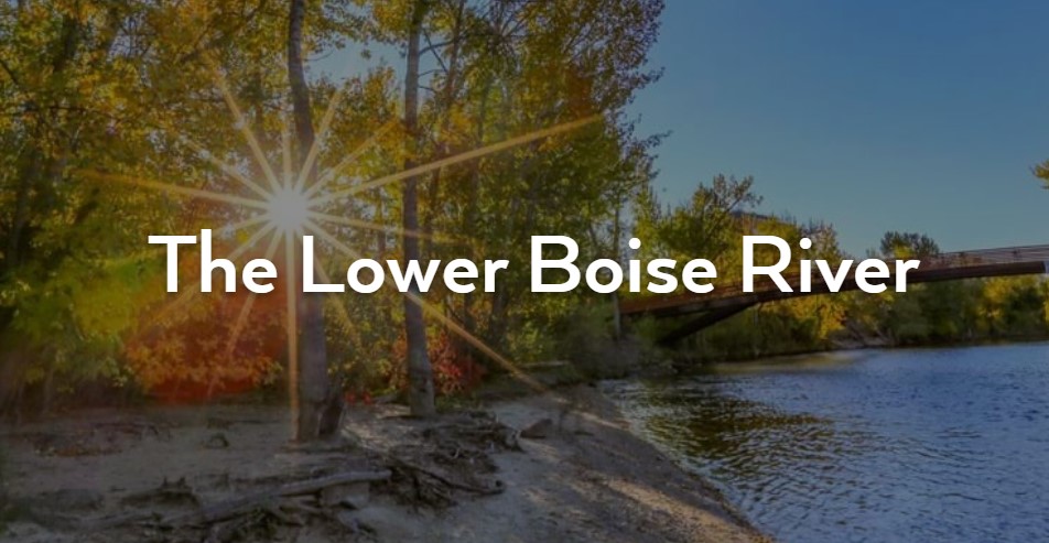 Boise river from a sandy shore.