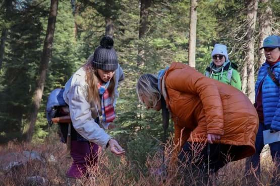 Two women look at a plant