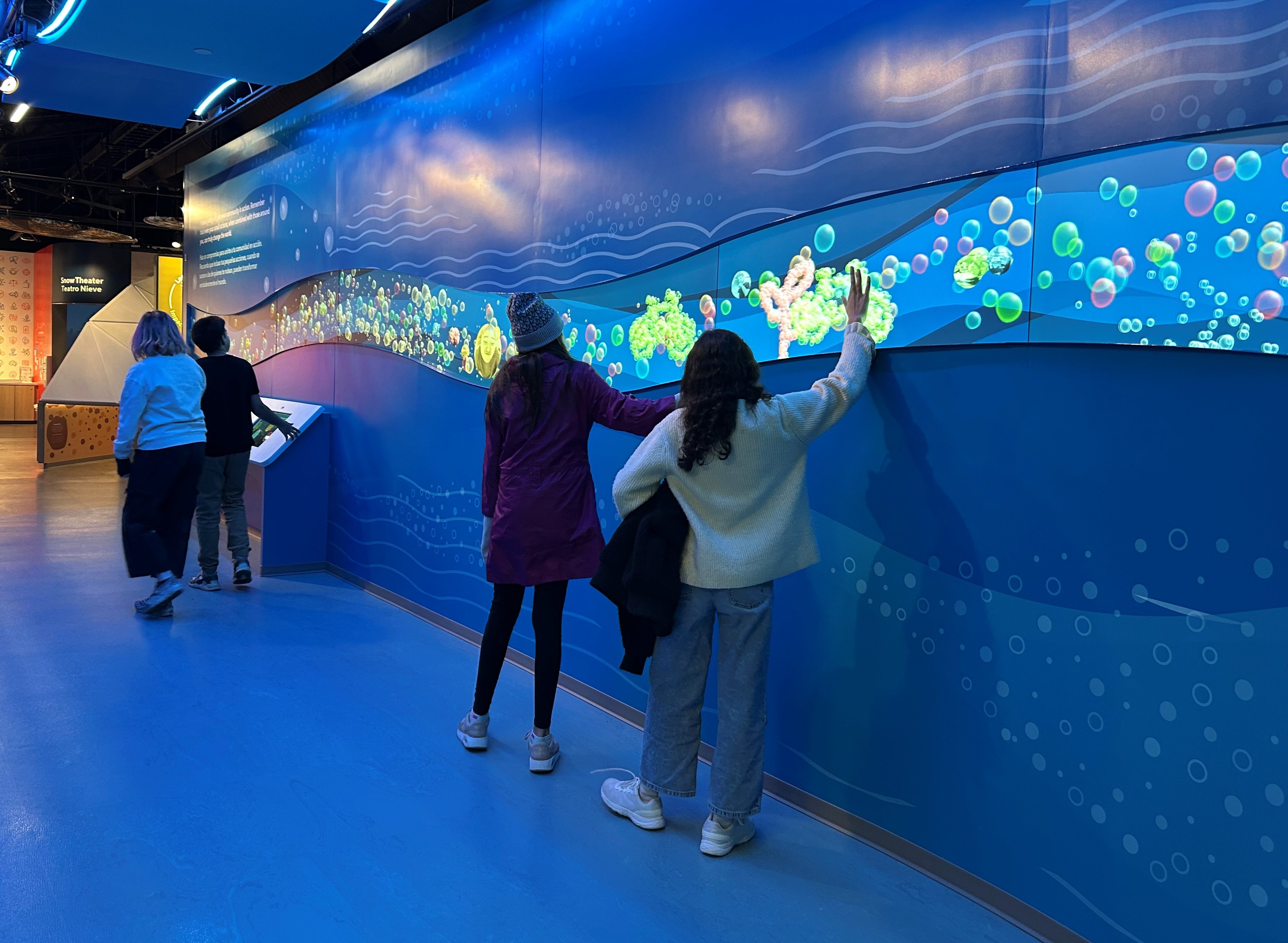 Visitors touching an interactive wall display.