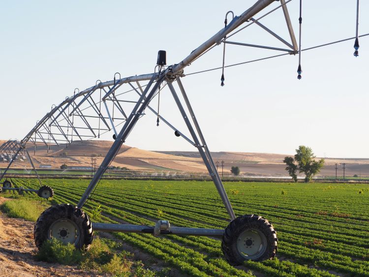 Webinar thumbnail: a field with large pivot irrigation.